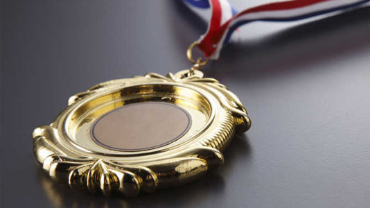 榮譽(yù)資質(zhì) 榮譽(yù)資質(zhì)